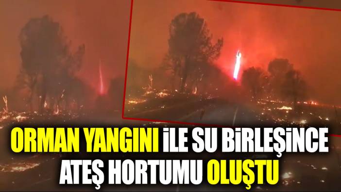 Kanada'da orman yangını ile su birleşince ateş hortumu oluştu