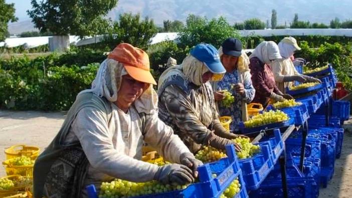 Üzüm işçilerinden sıcaklara sarık ve şapkalı önlem