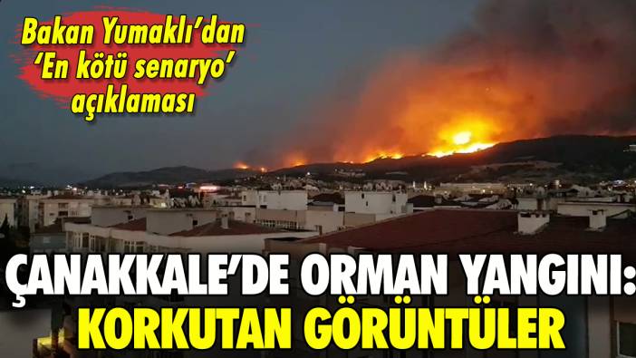 Çanakkale'deki orman yangınında son durum ne? Bakan Yumaklı'dan açıklama