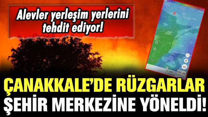 Çanakkale'de yangının şiddetini artıran detay: Rüzgar, şehir merkezine doğru esiyor