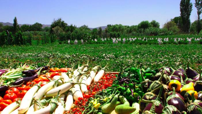 Uluslararası Bosna Hersek Tarım ve Gıda Fuarı Kapılarını Açtı