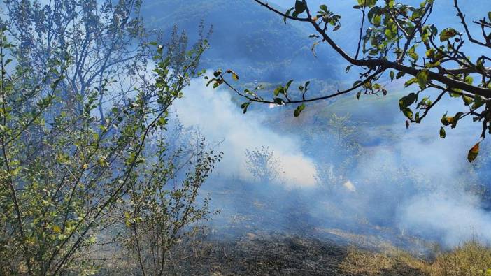 Sinop Türkeli'de korkutan anız yangını