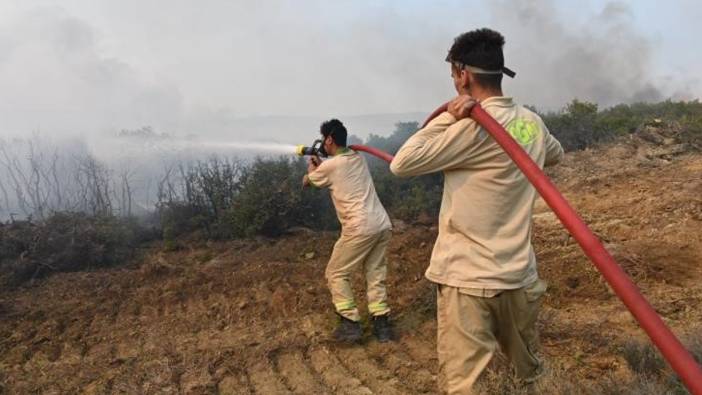 Çanakkale Eceabat yangını kontrol altına alındı