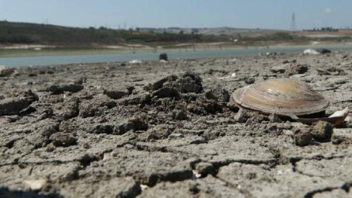 Baraj kurudu: Pikniğe gelenlerin aracı bataklığa saplandı