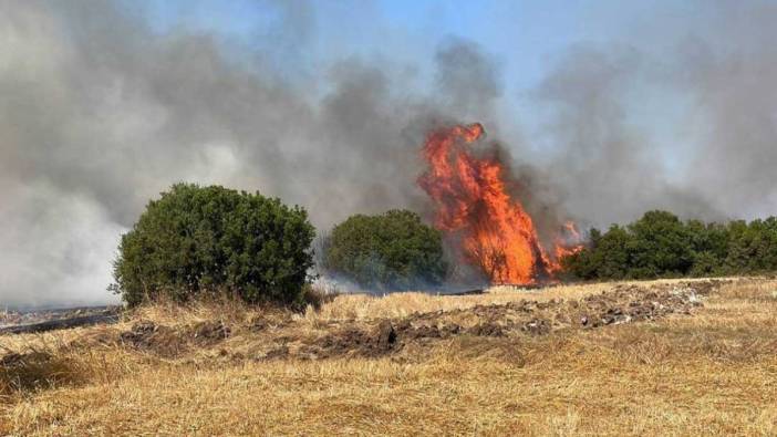 Çanakkale'de ağaçlık alanda yangın!