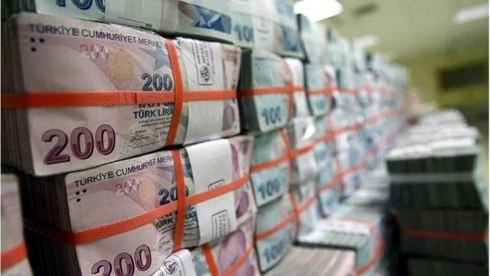 Hazine 2,6 milyar dolarlık DİBS ve kira sertifikası ihraç etti