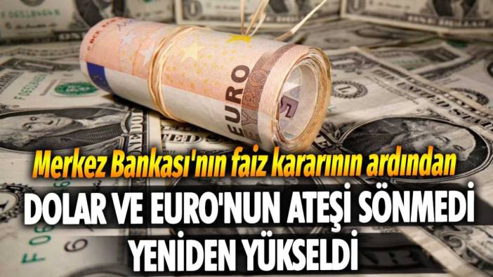 Merkez Bankası'nın faiz kararının ardından Dolar ve Euro'nun ateşi sönmedi, yeniden yükseldi