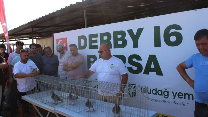 Bursa'da Derby 16 organizasyonunda güvercinler yarıştı