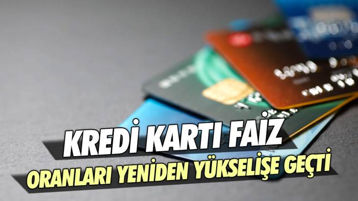 Kredi kartı faiz oranları yeniden yükseldi