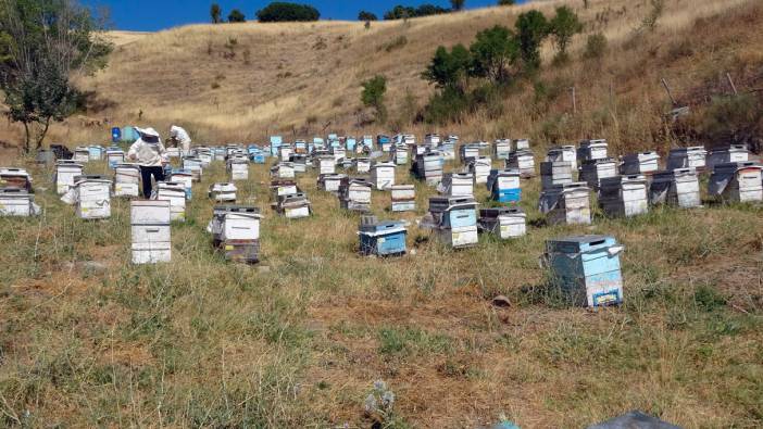 Yozgat'ta hasat mevsimi bir ay geç başladı