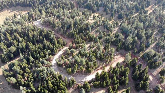 Kahramanmaraş Göksun'da 36 kilometrelik yeni orman yolu yapıldı