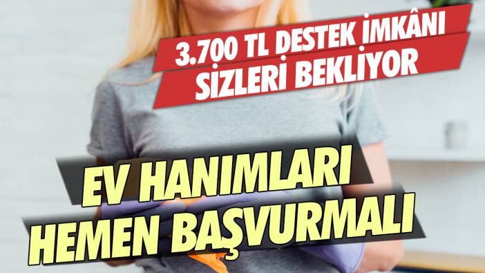 Yeni koşullar belli oldu: Ev hanımları hemen başvurmalı! 3.700 TL destek imkânı sizleri bekliyor