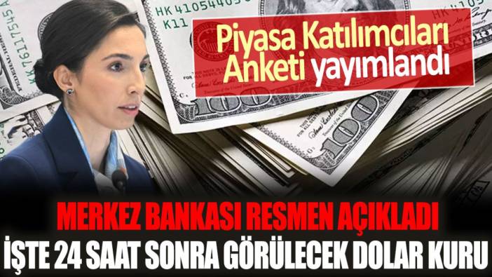 Merkez Bankası resmen açıkladı: İşte 24 saat  sonra görülecek dolar kuru