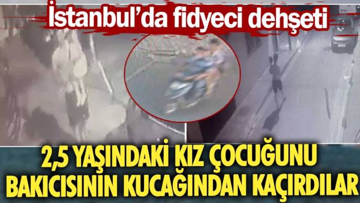 İstanbul'da fidyeci dehşeti: 2,5 yaşındaki kız çocuğunu bakıcısının kucağından kaçırdılar