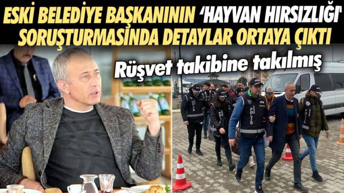 Eski Belediye Başkanının ‘hayvan hırsızlığı' soruşturmasında detaylar ortaya çıktı: Meğer rüşvet takibine takılmış