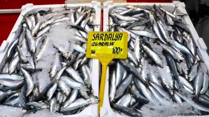 Çanakkale'de balık fiyatları düşüyor