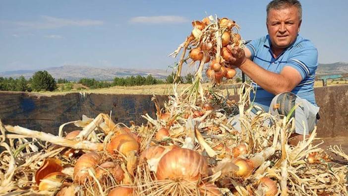 Soğan çiftçinin yeni umudu oldu