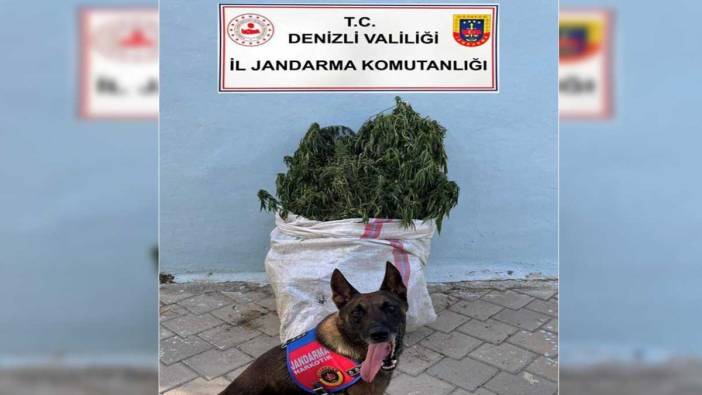 Denizli'de 10 kilo esrar yakalandı