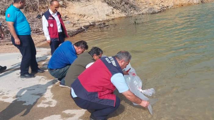 Bartın'da Su Kaynaklarının Balıklandırılması Projesi kapsamında sazan balığı yavruları bırakıldı