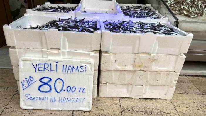 Sinop'ta yeni balık sezonu başladı