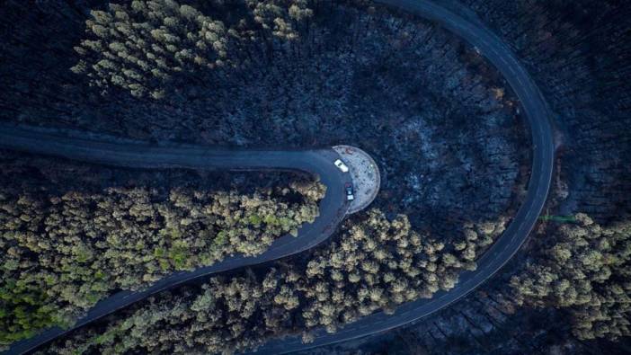 Tenerife Adası’ndaki orman yangının yol açtığı ekonomik kayıp 80.4 milyon euro