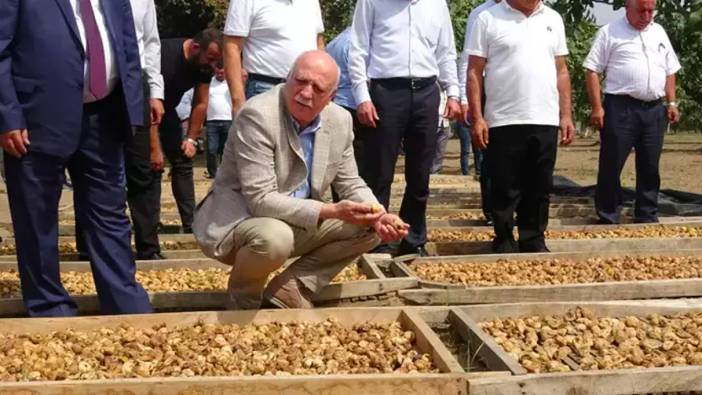 Türkiye dünyada en fazla incir ihracatı yapan ülke konumunda