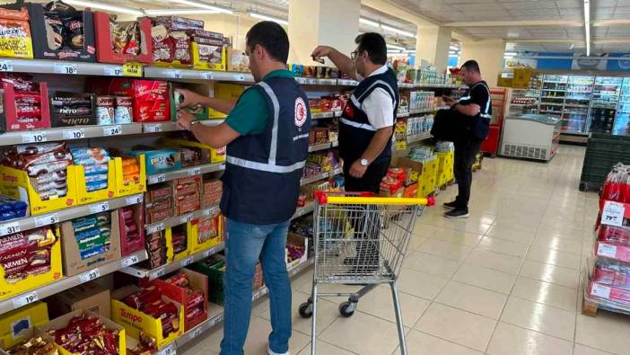 Trakya'da kuraklık ayçiçeklerini vurdu