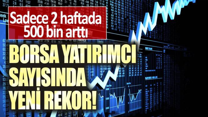 Borsada yatırımcı sayısında yeni rekor: Sadece 2 haftada 500 bin arttı