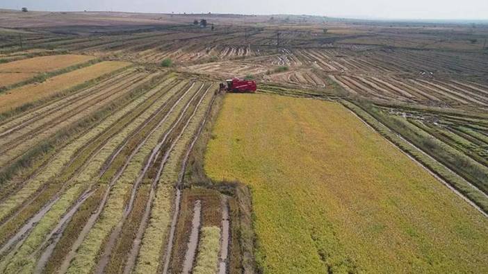 Tarım Sigortaları Havuzu'ndan çiftçilere 2,7 milyar liralık hasar tazminatı