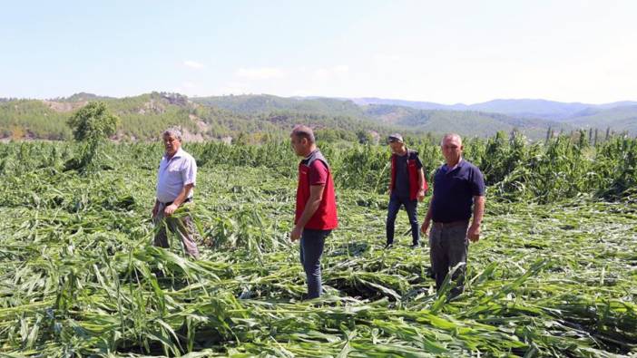 Muğla'da dolu yağışı tarlalara zarar verdi