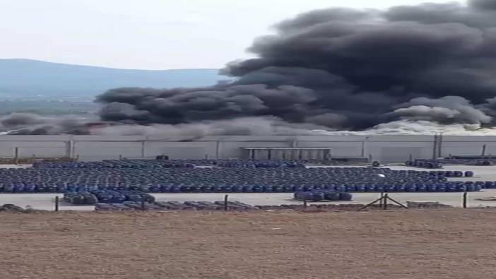 İzmir’de palet fabrikasında büyük yangın!