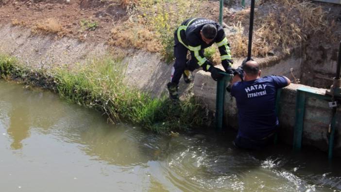 Hatay'da sulama kanalında ceset bulundu