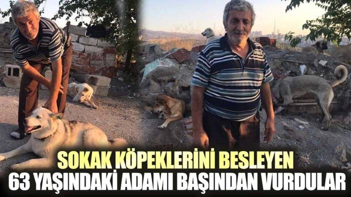 Sokak köpeklerini besleyen 63 yaşındaki adamı başından vurdular