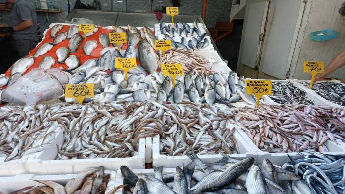 Balıkçı tezgahının bu sezonki starı 'hamsi'