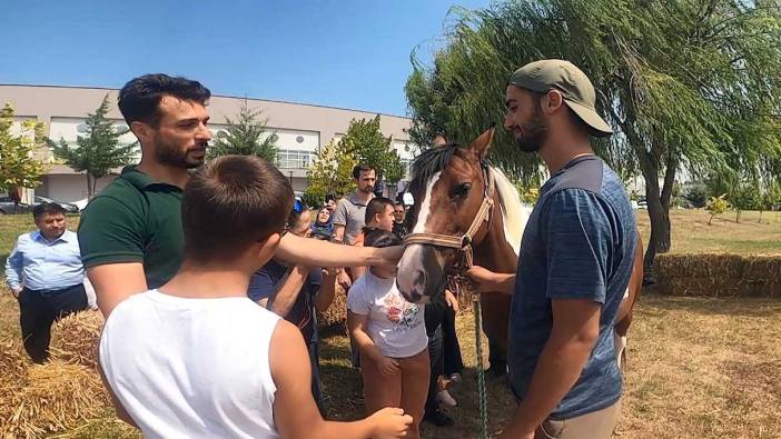 Uzman isim 'Hippoterapi tamamlayıcı tedaviler arasına alınmalı'