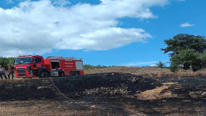 Kastamonu’da anız yangını