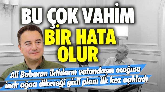 Ali Babacan iktidarın vatandaşın ocağına incir ağacı dikeceği gizli planı ilk kez açıkladı: Bu çok vahim bir hata olur