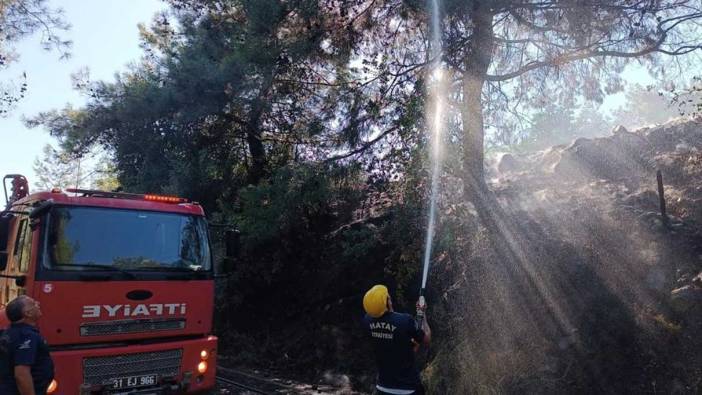 Hatay'da çıkan orman yangını söndürüldü
