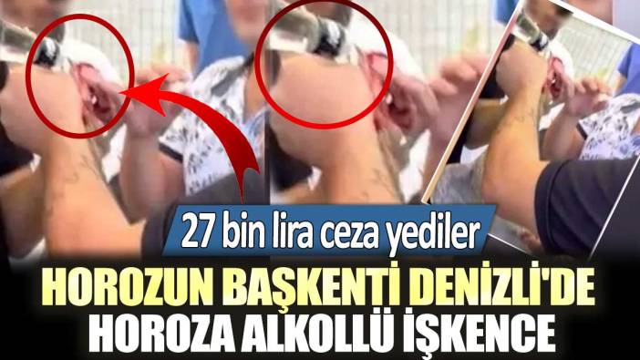 Horozun başkenti Denizli'de horoza alkollü işkence: 27 bin lira ceza yediler