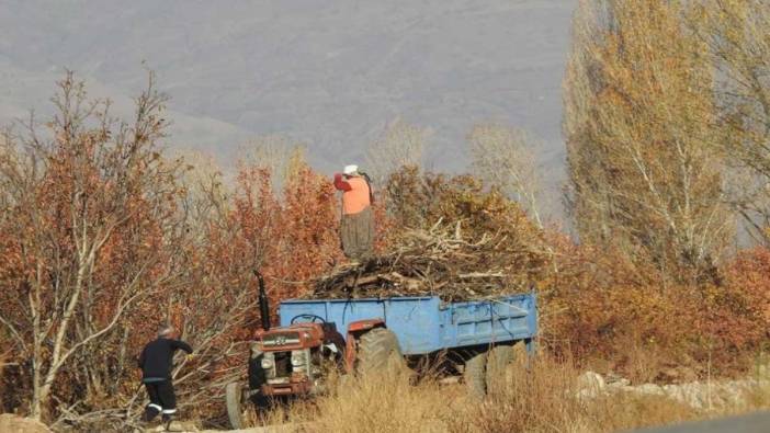 Köylerde kışlık odun hazırlığı başladı