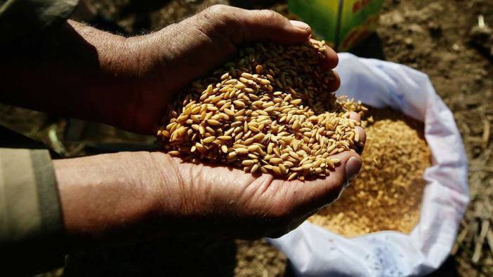Üreticiye tamı tamına 30 milyon lira kazandırdı