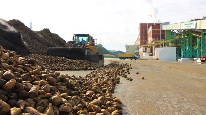 Amasya Şeker Fabrikası'nda 70. pancar alım kampanyası başladı