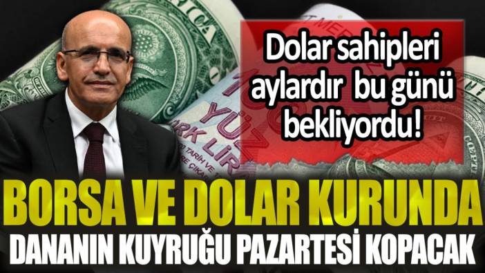 Dolar sahipleri aylardır bu günü bekliyordu: Borsa ve dolarda dananın kuyruğu pazartesi kopacak!