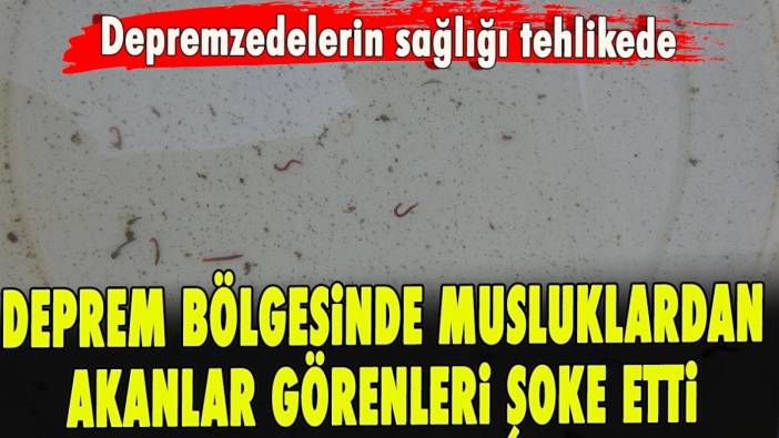 Deprem bölgesinde musluklardan akanlar görenleri şoke etti