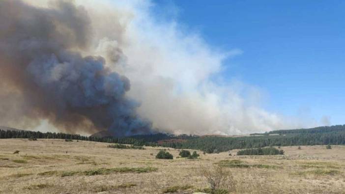 Kocaeli'de makilik alanda yangın büyümeden söndürüldü