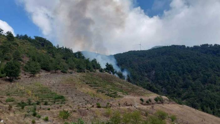 Hatay'da çıkan orman yangını kontrol altında