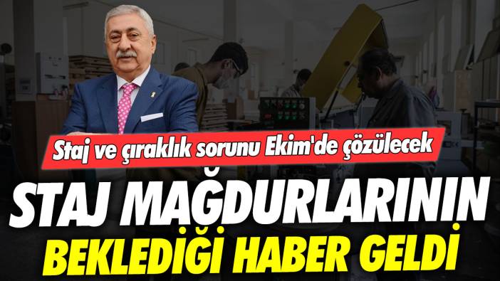 Staj mağdurlarının beklediği haber: Staj ve çıraklık sorunu Ekim'de çözülecek