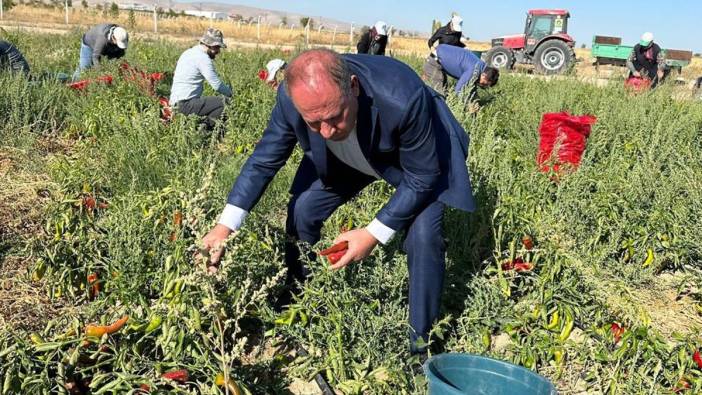 Konya'da belediye salçalık biber dağıttı