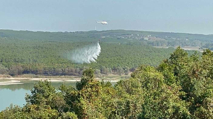 Çatalca'da ormanlık alanda yangın