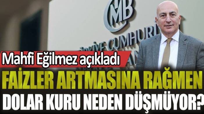 Mahfi Eğilmez açıkladı: Faizler artmasına rağmen dolar kuru neden düşmüyor?